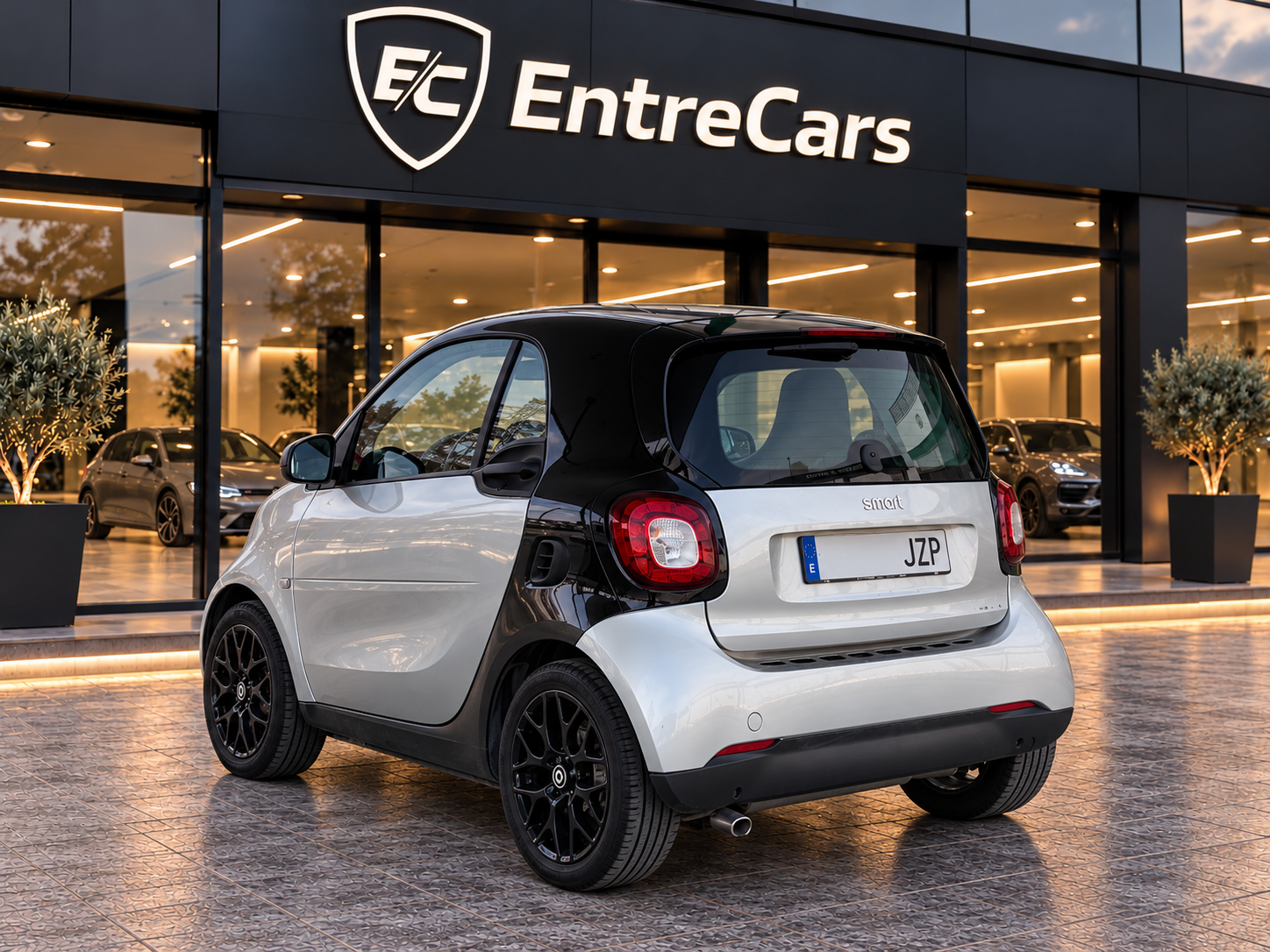 Miniatura 2
