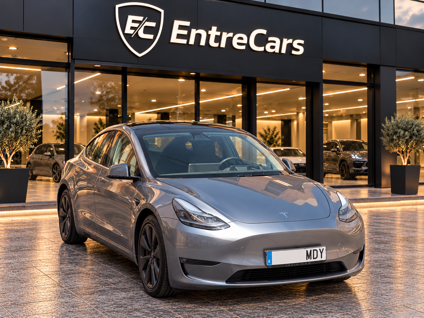 Tesla  Model Y Performance